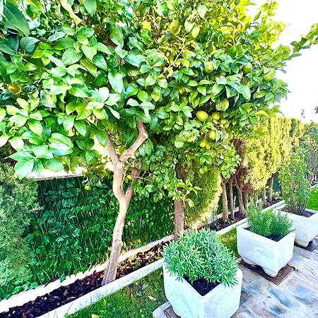 Willa Casacara Beachside Costabella -spain